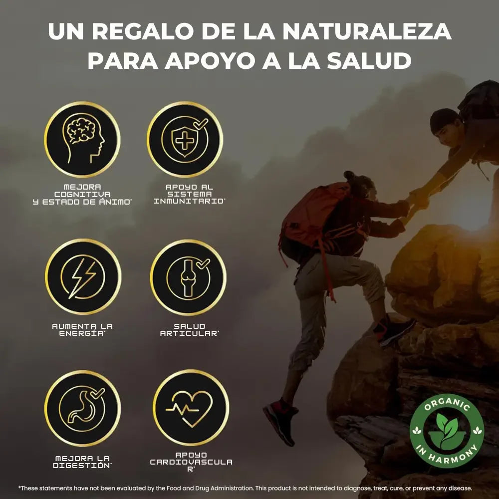 GOMAS SHILAJIT x 60C/U -MEGA OFERTA